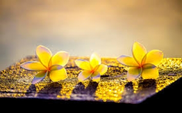 Đã từng thất bại
